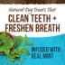 Merrick® Fresh Kisses® Medium Breed Adult Dental Dog Treats - Mint image thumbnail 3