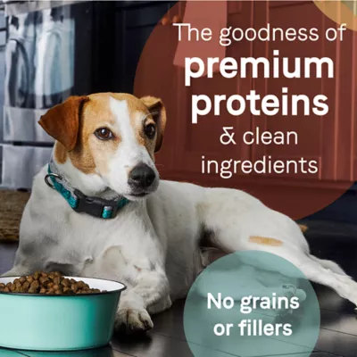 Pure pet dog food best sale