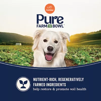 Product Canidae® Pure™ Adult Dry Dog Food - Limited Ingredient Diet, Salmon
