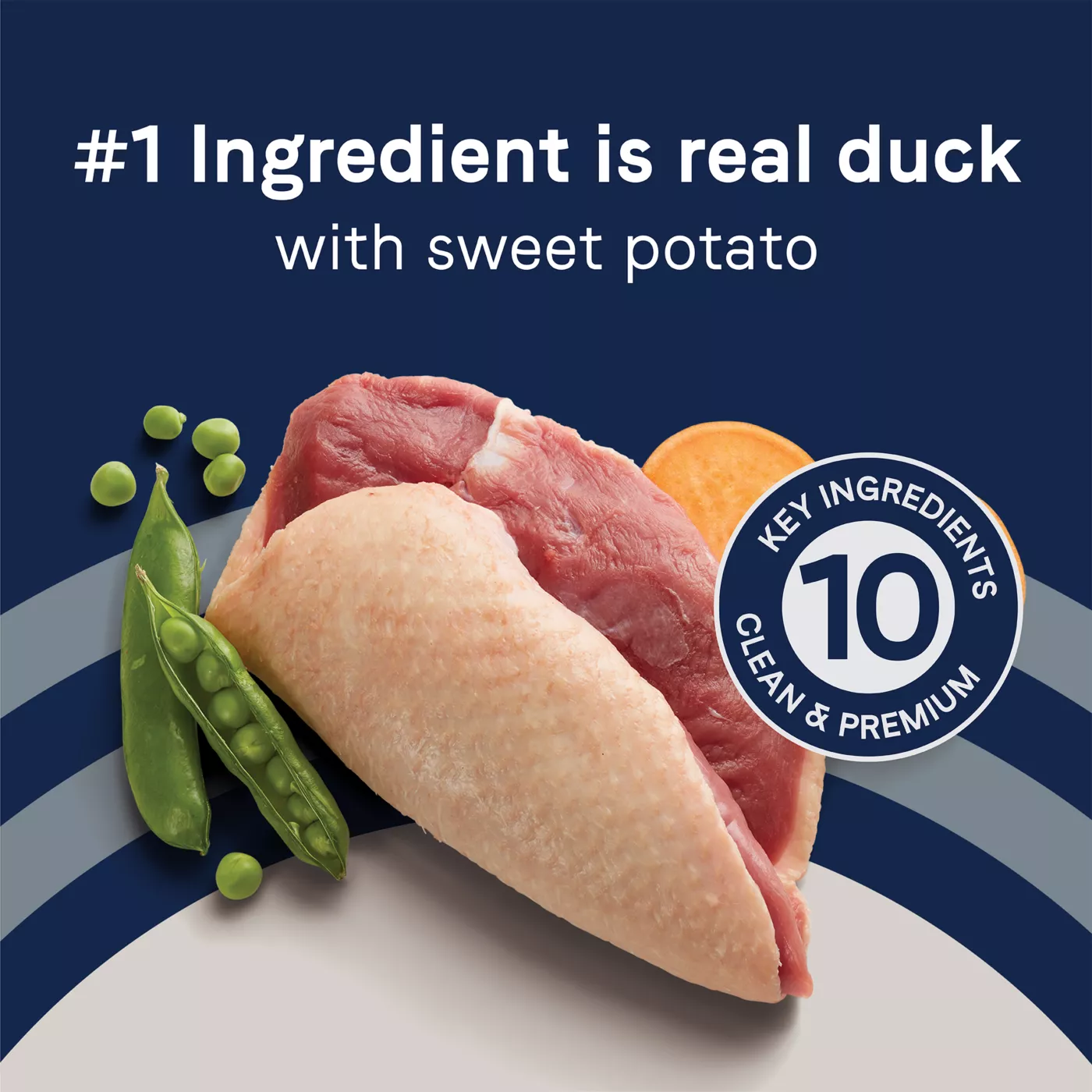 Canidae Pure Adult Dry Dog Food Limited Ingredient Diet Duck