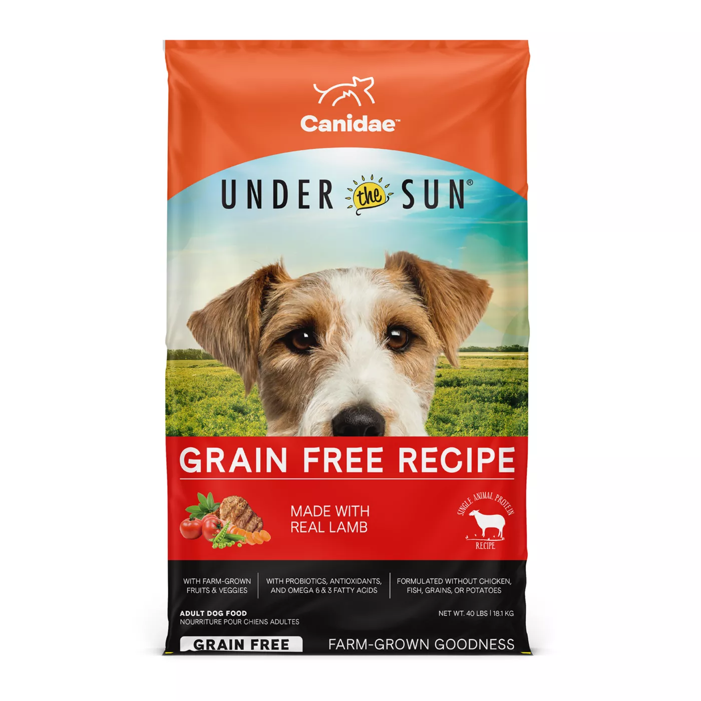 Dog fashion foods without grain