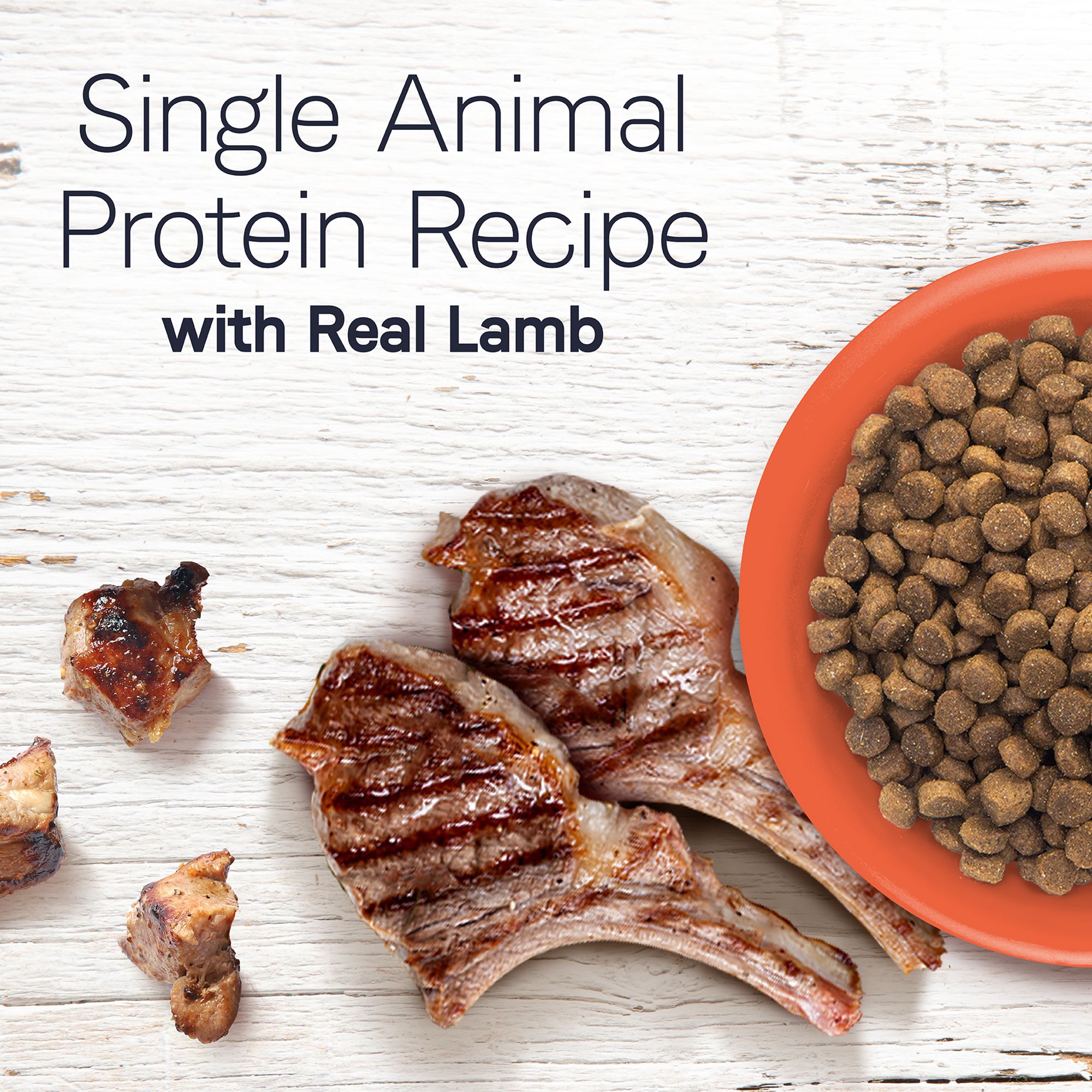 canidae under the sun lamb