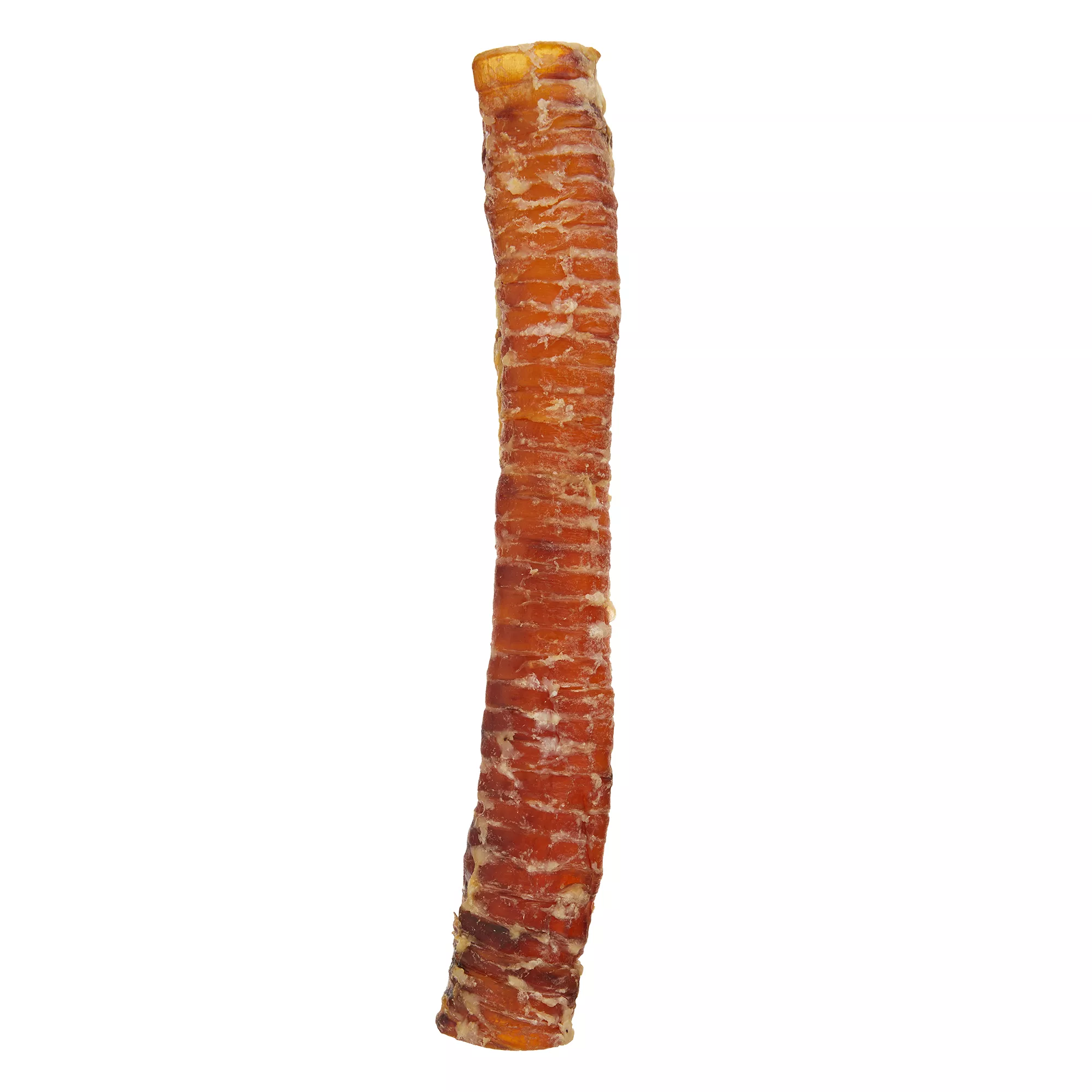 Dentley's® 12" Beef Trachea Dog Chew - 1 Count