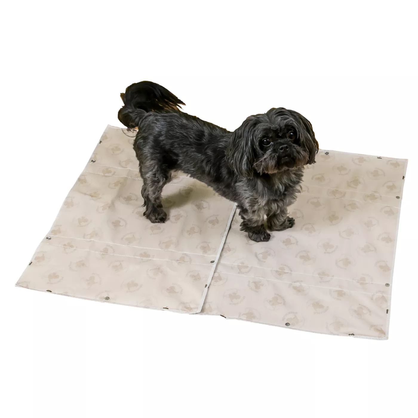 Shops petsmart dog pads