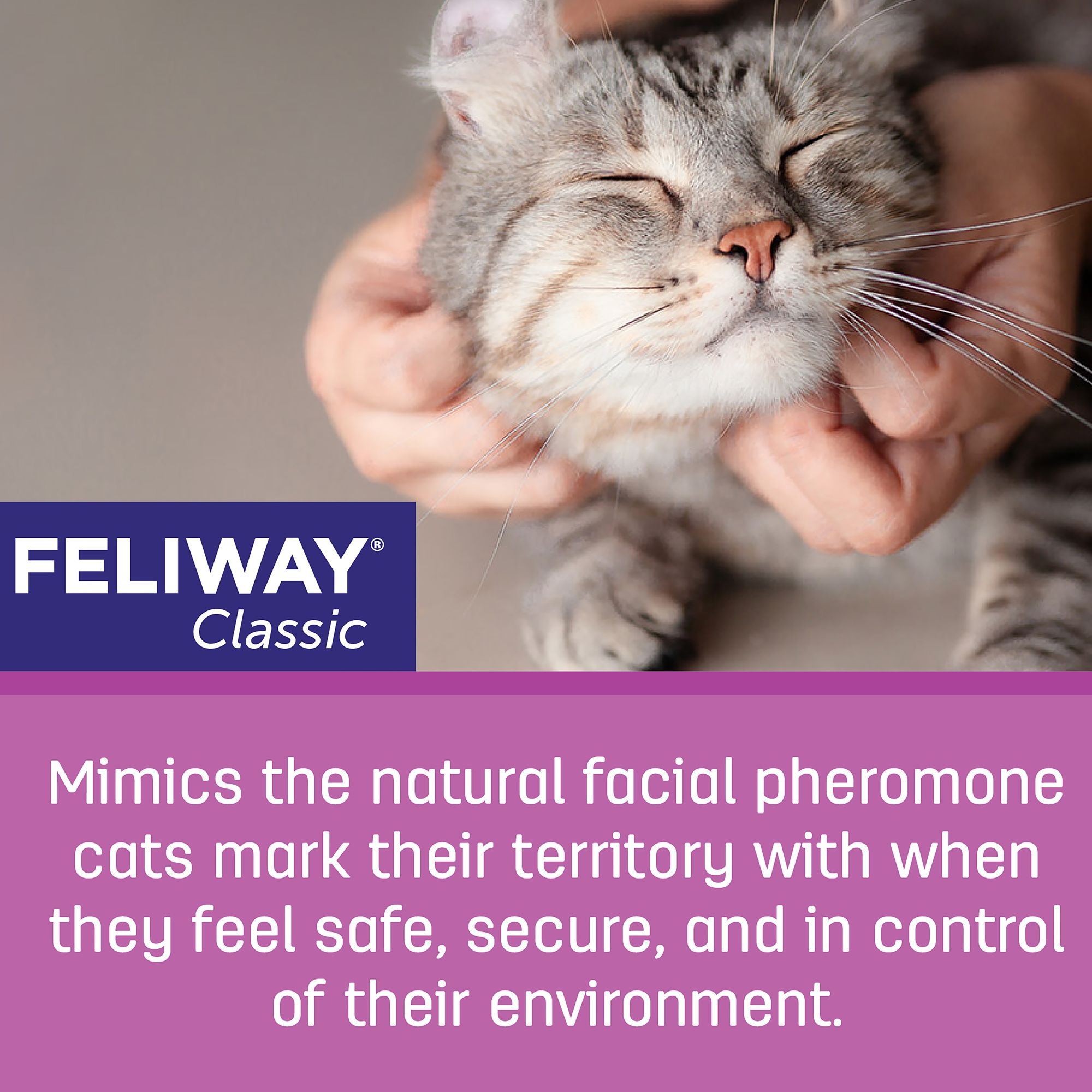 Feliway® Classic Cat Calming Diffuser Refill, Anxiety Support, 30 Day Refill Cartridge, 1 CT, 2 CT - thumbnail 4
