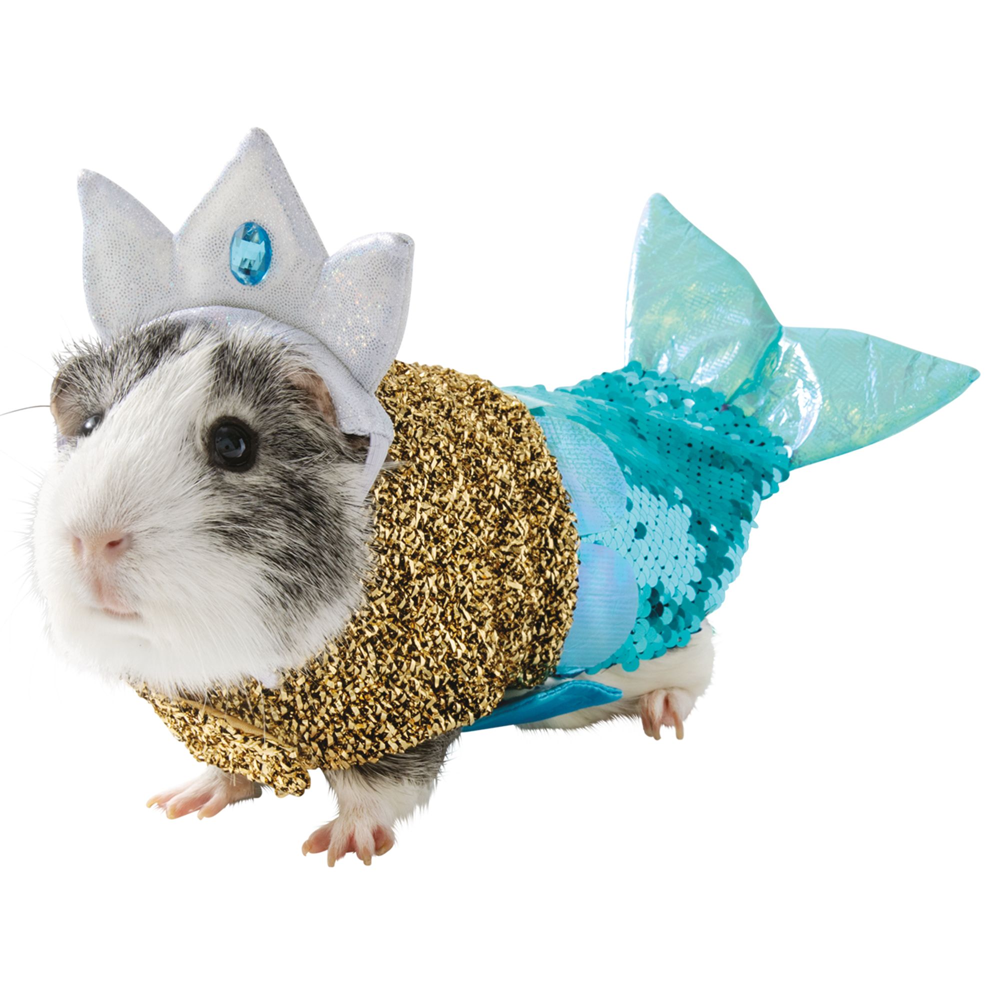 A guinea pig dressed as a mermaid