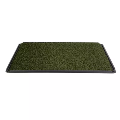 Indoor dog pad best sale