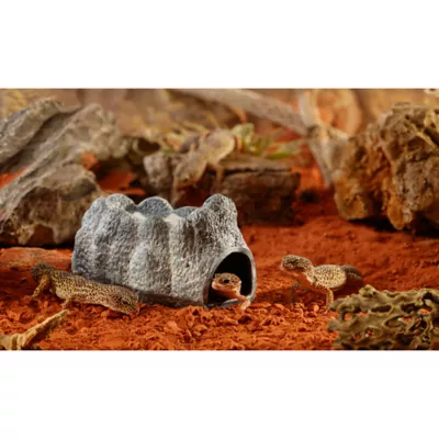 Product Exo Terra® Wet Rock Reptile Hideout
