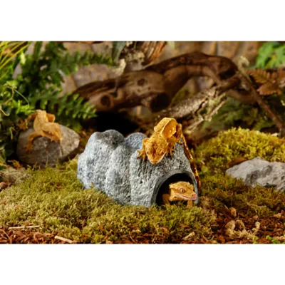 Product Exo Terra® Wet Rock Reptile Hideout