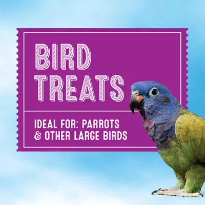 Product All Living Things® Papaya & Pineapple Chunks Bird Treat