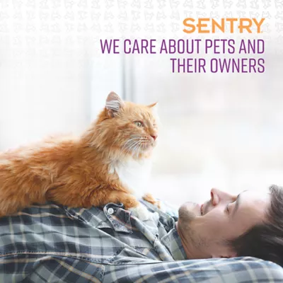 Product SENTRY® Calming Collar for Cats