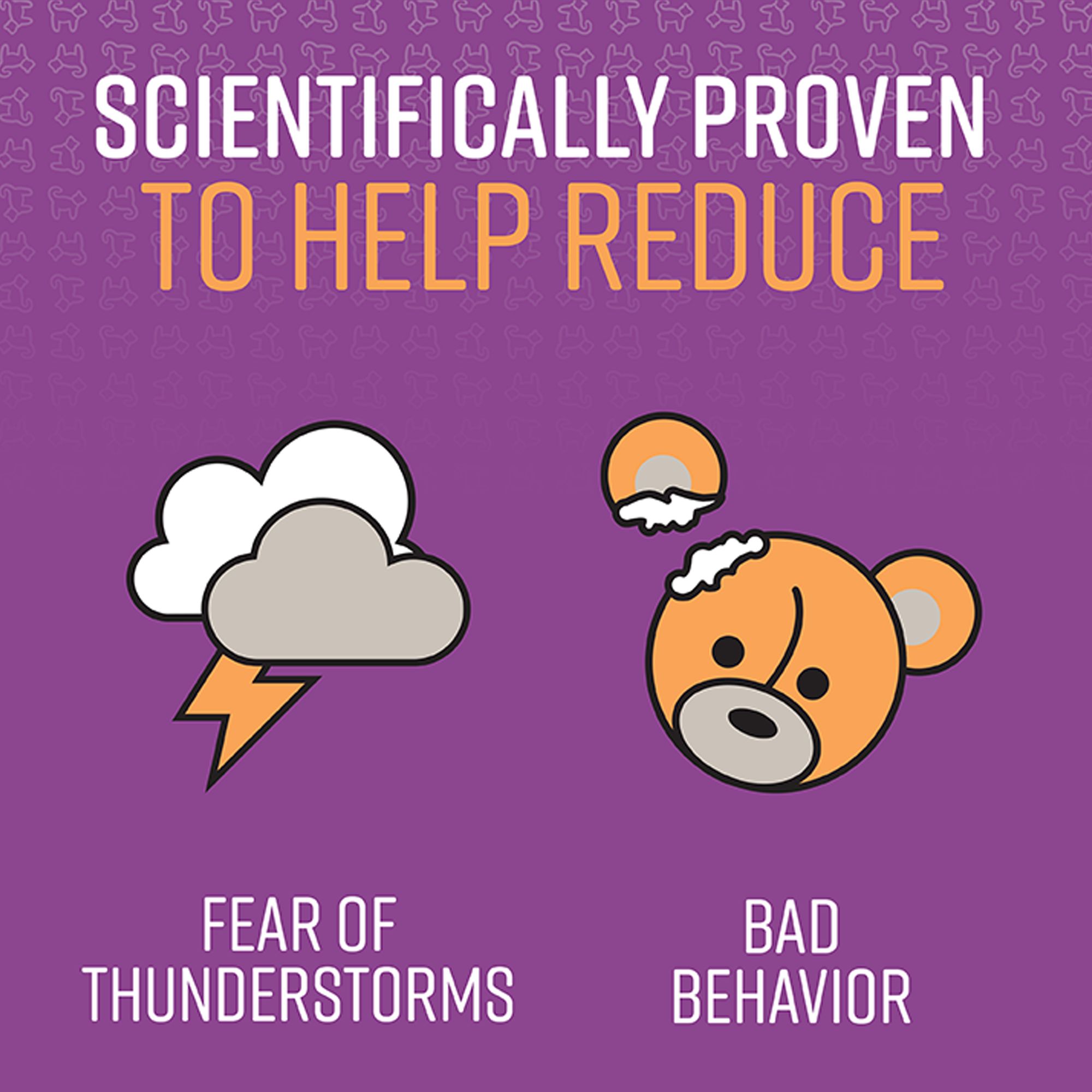 calming collar sentry