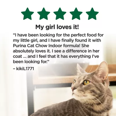 Product Purina® Cat Chow® Indoor Adult Cat Dry Food - Chicken, Hairball & Healthy Weight
