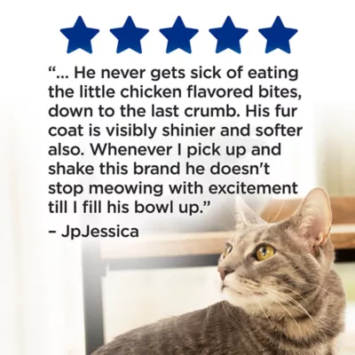Product Purina® Cat Chow® Complete All Life Stages Cat Dry Food - Chicken