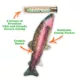 Product Meowijuana® Get Smoked Rainbow Trout Refillable Cat Toy - Catnip