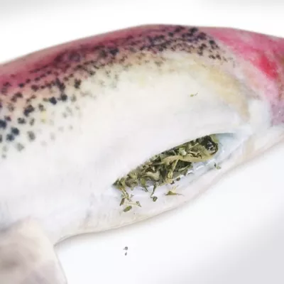 Product Meowijuana® Get Smoked Rainbow Trout Refillable Cat Toy