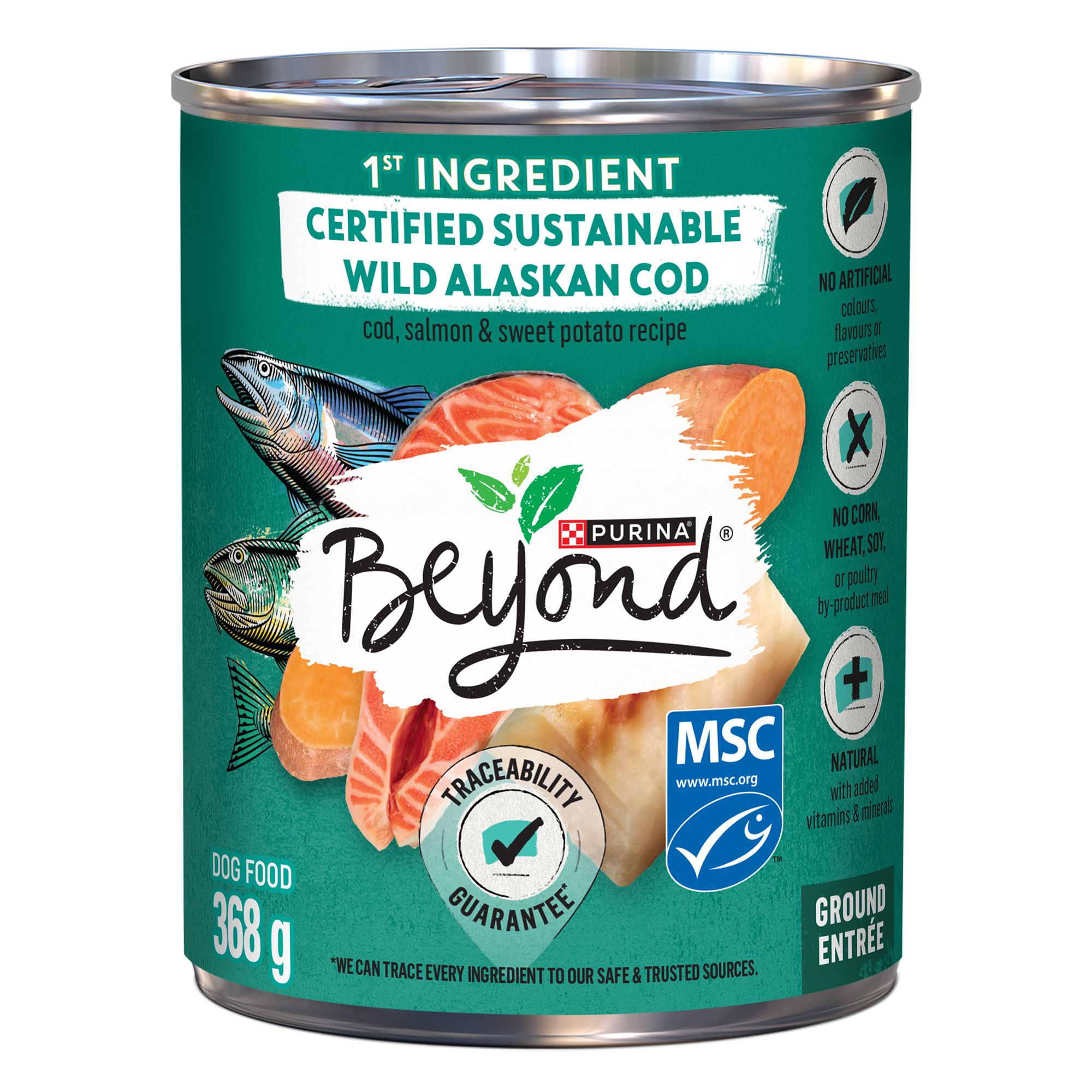 Purina beyond wet dog food review hotsell