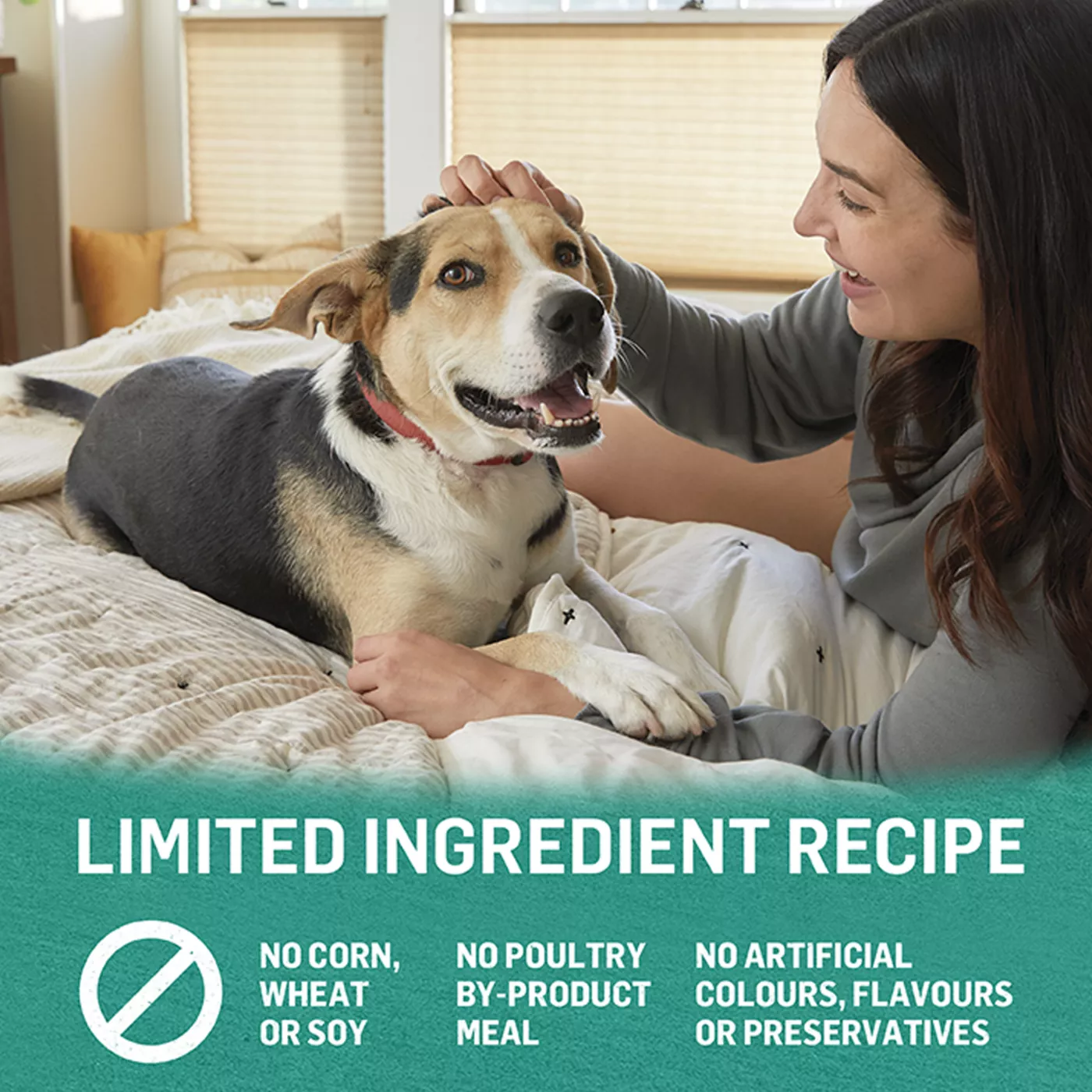 Purina® Beyond® Grain Free Adult Dog Food Ocean Whitefish, Salmon