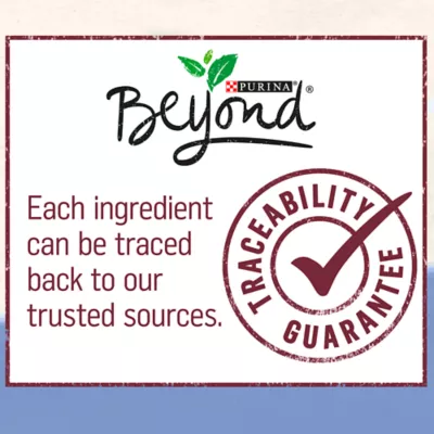 Product Purina® Beyond® Grain Free Adult Dog Food - Turkey & Sweet Potato Ground Entree Recipe