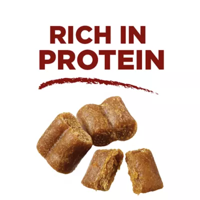 Product Purina ONE True Instinct Dog Treat Bites