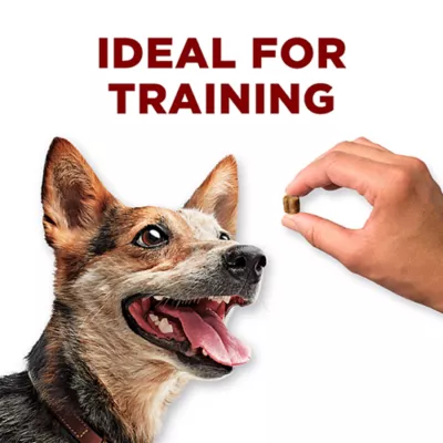 Product Purina ONE True Instinct Dog Treat Bites