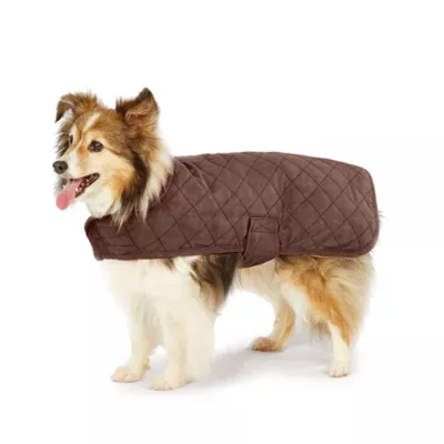 Product Pendleton Ombre Plaid Pet Jacket