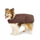 Product Pendleton Ombre Plaid Pet Jacket