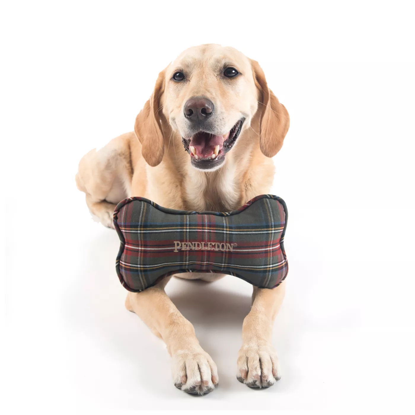 Pendleton Stewart Plaid Bone Toy Plush