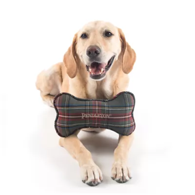 Product Pendleton Stewart Plaid Bone Toy - Plush