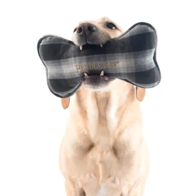 Product Pendleton Ombre Plaid Bone Dog Toy - Plush