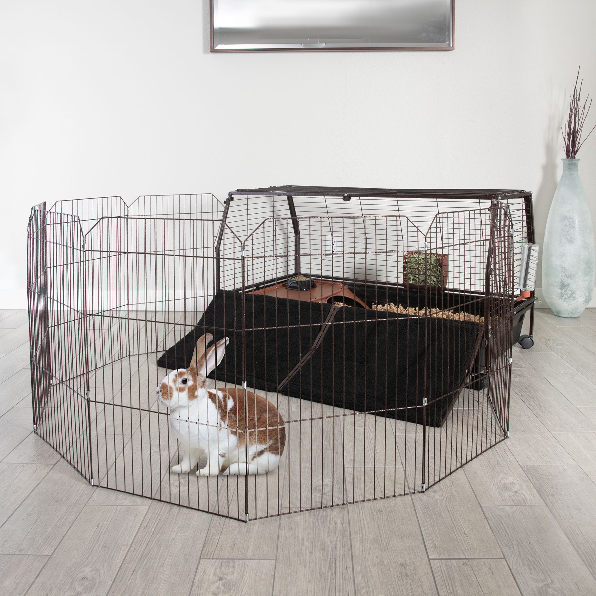 oxbow guinea pig and dwarf rabbit habitat with play yard