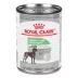 Royal Canin® Canine Care Nutrition Digestive Care Adult Dog Food image thumbnail 1