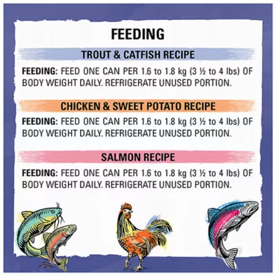 Beyond Adult Wet Cat Food Grain Free Pâté Variety Pack 3 Flavours, 85 g x 12 - Image 10