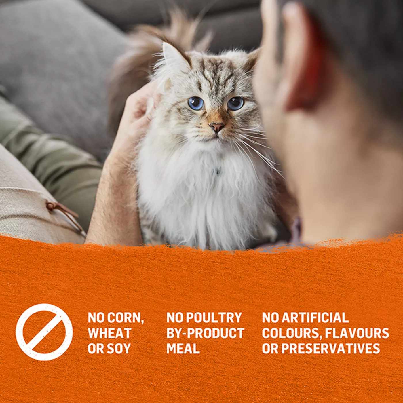 Purina® Beyond® Grain Free Adult Cat Food Chicken & Sweet Potato Pate