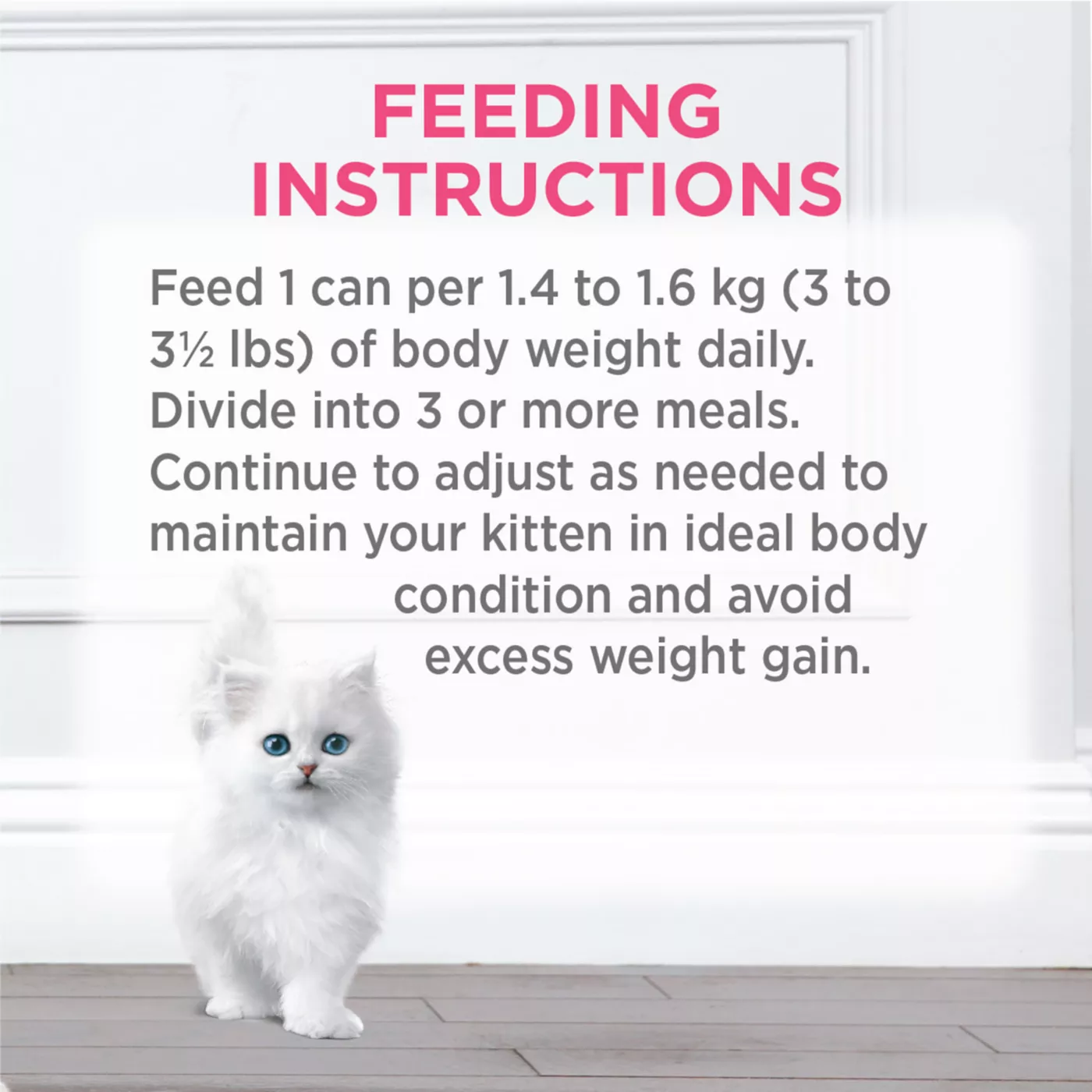 Can kittens eat fancy feast best sale