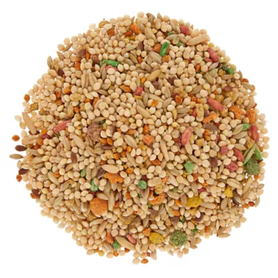 Product All Living Things® Fortified Parakeet Bird Food