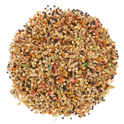 Product All Living Things® Fortified Canary & Finch Bird Food