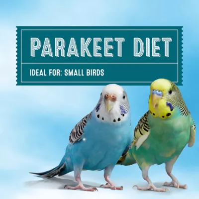 Product All Living Things® Fortified Parakeet Bird Food
