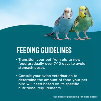 Product All Living Things® Fortified Parakeet Bird Food