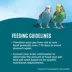 All Living Things® Fortified Parakeet Bird Food image thumbnail 5