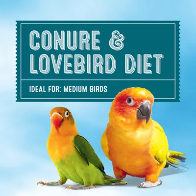 Product All Living Things® Fortified Conure Bird Food