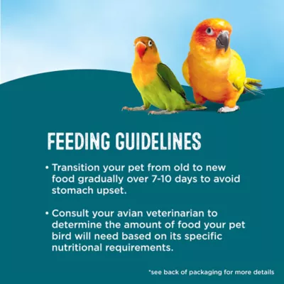 Product All Living Things® Fortified Conure Bird Food