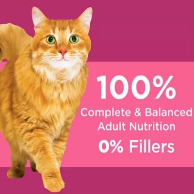 Product Iams Proactive Health Adult Urinary Tract Health Dry Cat Food with Chicken