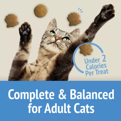 Product Friskies Party Mix Cat Treats Naturals Gourmet Crunch with Real Chicken, 454 g
