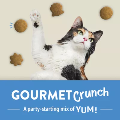 Product Friskies Party Mix Cat Treats Naturals Gourmet Crunch with Real Chicken, 454 g