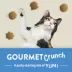 Friskies Party Mix Cat Treats Naturals Gourmet Crunch with Real Chicken, 454 g image thumbnail 7