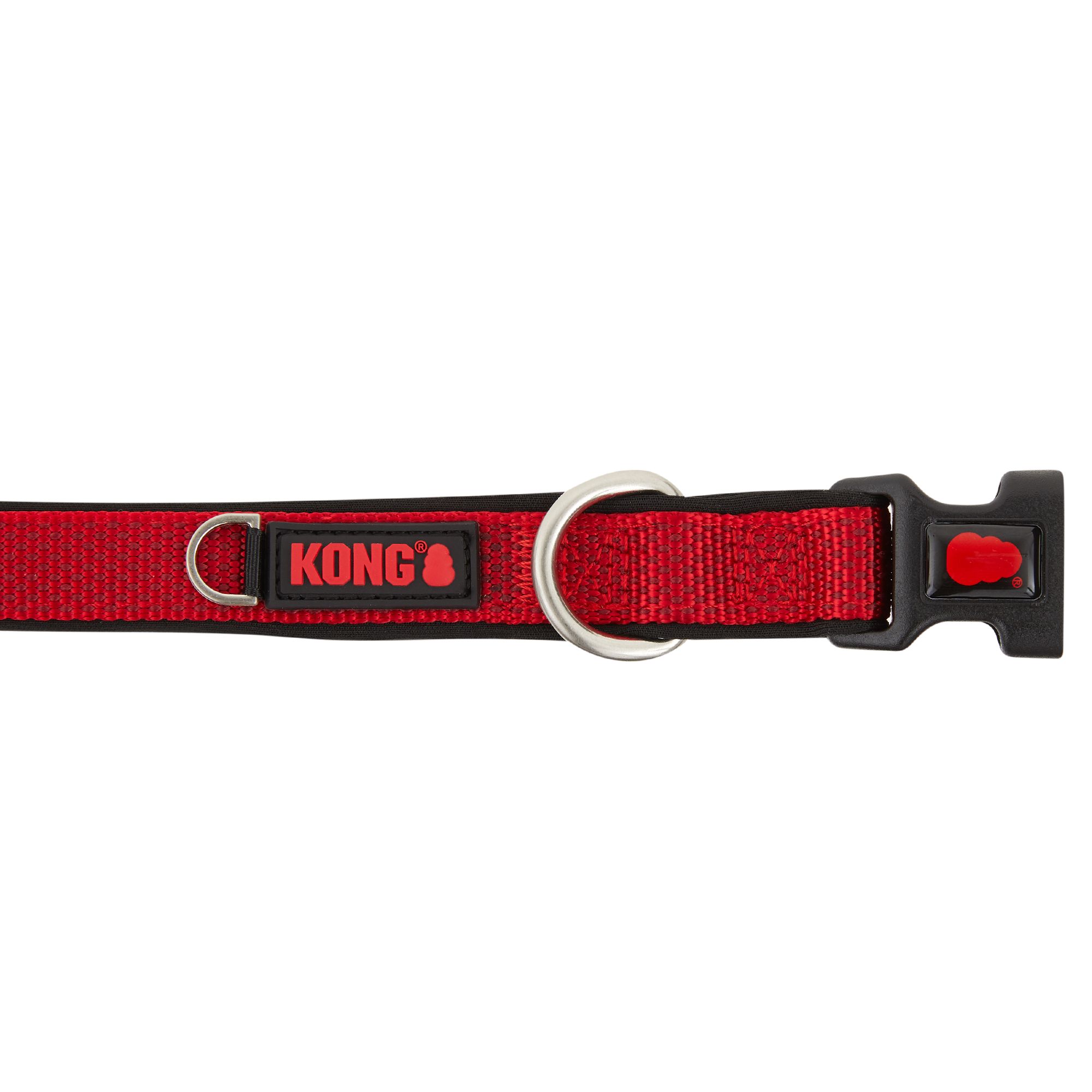 kong dog collar