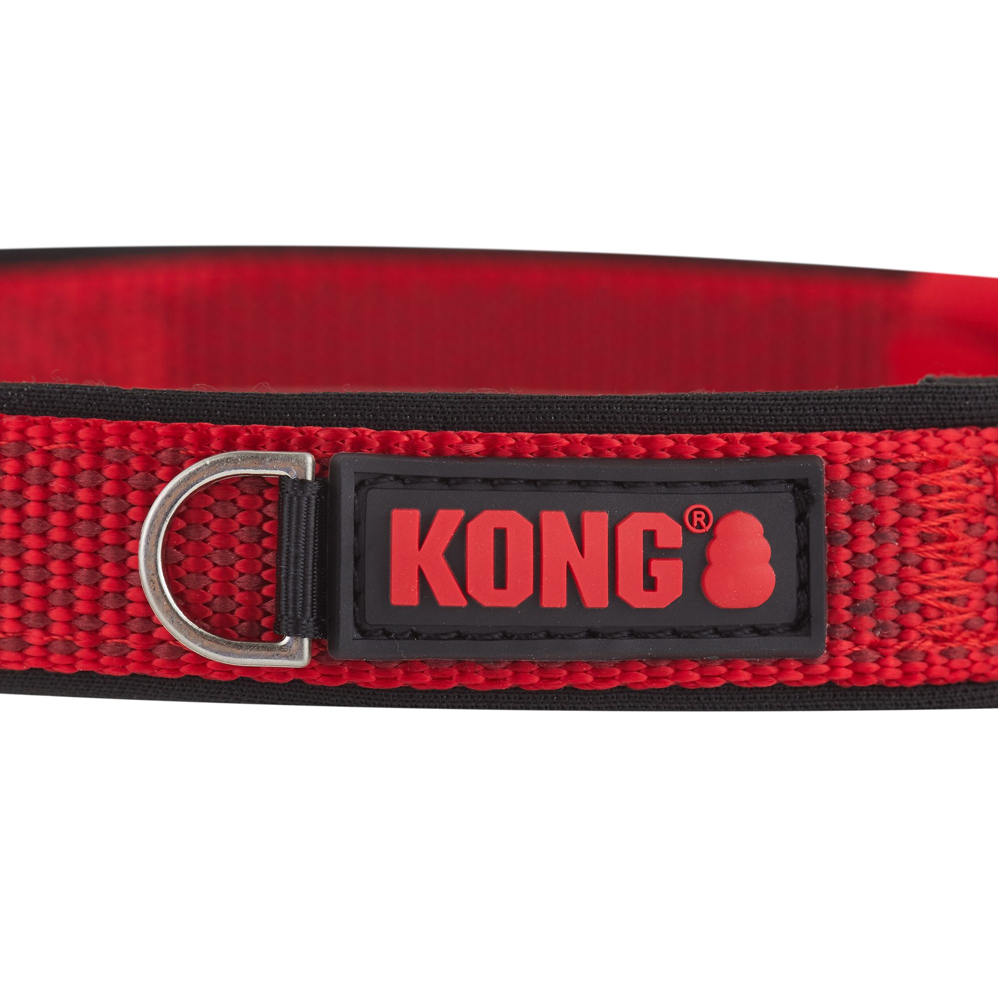 chewy kong collar
