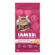 Product Iams Proactive Health Adult Urinary Tract Health Dry Cat Food with Chicken