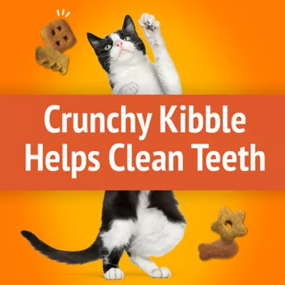 Product Purina® Friskies® Party Mix™ Original Crunch Cat Treat - Chicken, Liver & Turkey